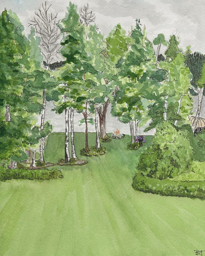 In the Trees